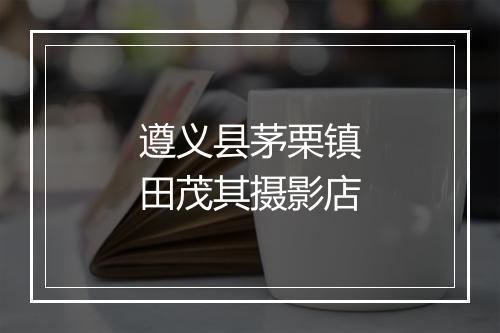 遵义县茅栗镇田茂其摄影店