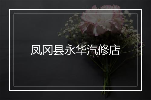 凤冈县永华汽修店