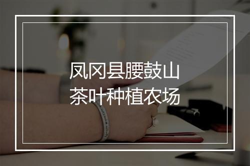 凤冈县腰鼓山茶叶种植农场
