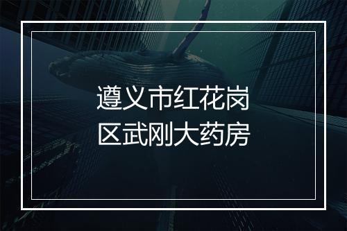 遵义市红花岗区武刚大药房