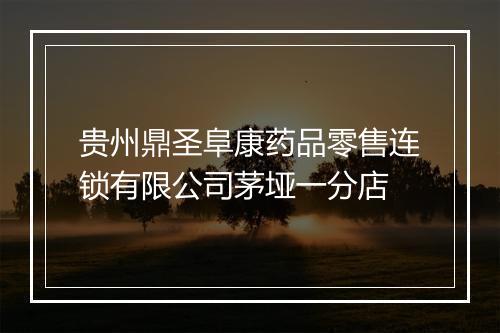 贵州鼎圣阜康药品零售连锁有限公司茅垭一分店