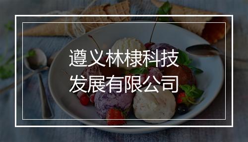 遵义林棣科技发展有限公司