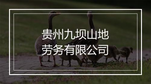 贵州九坝山地劳务有限公司