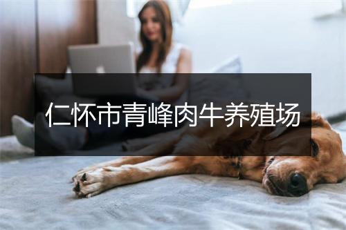 仁怀市青峰肉牛养殖场