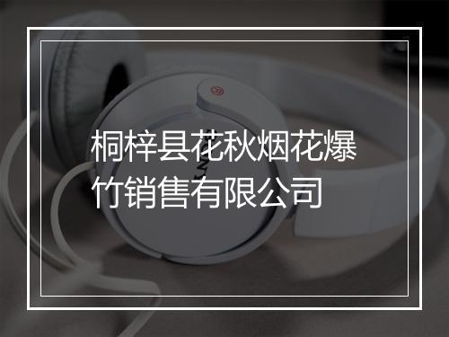 桐梓县花秋烟花爆竹销售有限公司