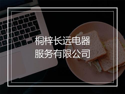 桐梓长远电器服务有限公司