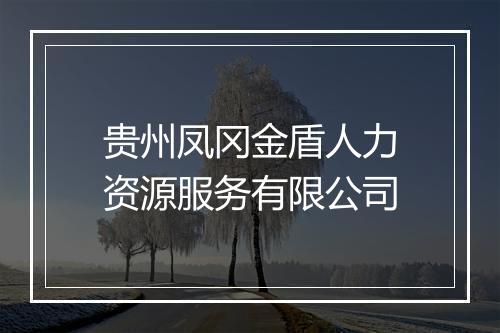 贵州凤冈金盾人力资源服务有限公司