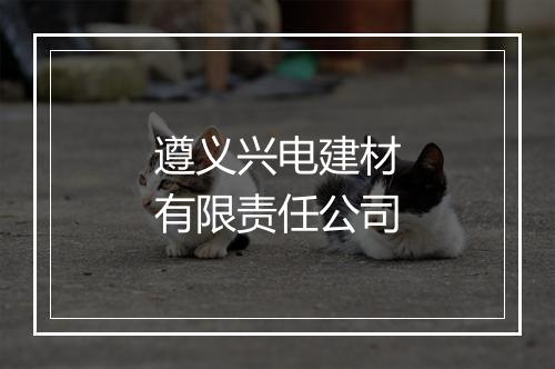 遵义兴电建材有限责任公司