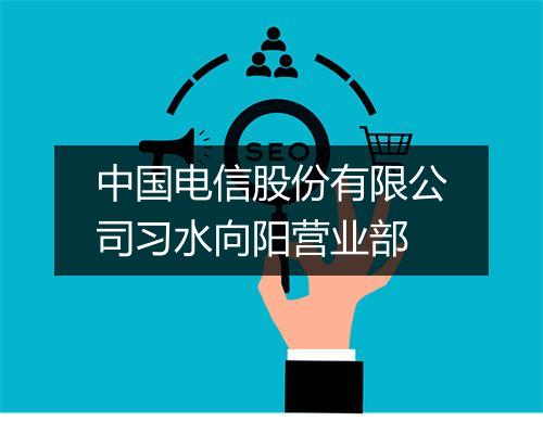 中国电信股份有限公司习水向阳营业部