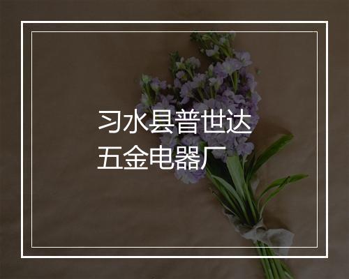 习水县普世达五金电器厂