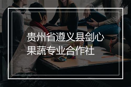 贵州省遵义县剑心果蔬专业合作社