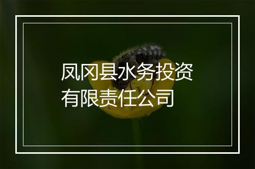 凤冈县水务投资有限责任公司