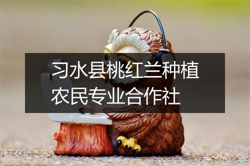 习水县桃红兰种植农民专业合作社
