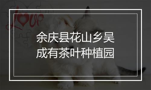 余庆县花山乡吴成有茶叶种植园