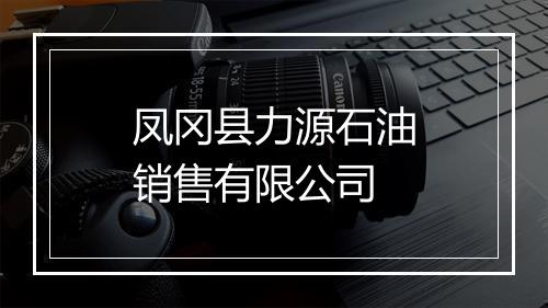 凤冈县力源石油销售有限公司