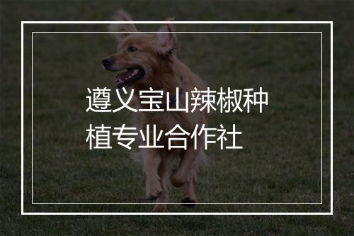 遵义宝山辣椒种植专业合作社