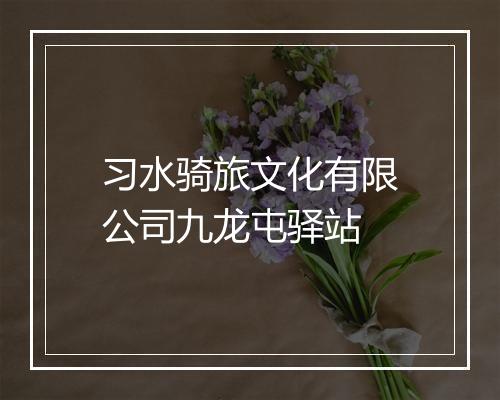 习水骑旅文化有限公司九龙屯驿站