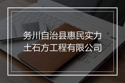 务川自治县惠民实力土石方工程有限公司