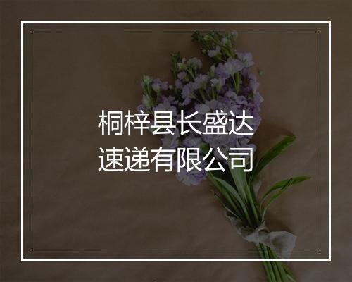 桐梓县长盛达速递有限公司