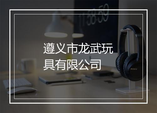 遵义市龙武玩具有限公司