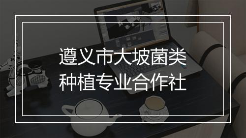 遵义市大坡菌类种植专业合作社