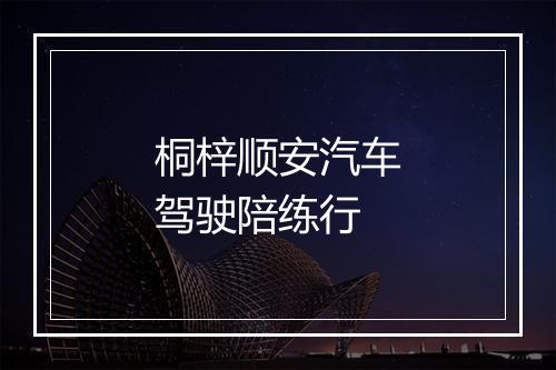 桐梓顺安汽车驾驶陪练行