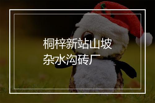 桐梓新站山坡杂水沟砖厂