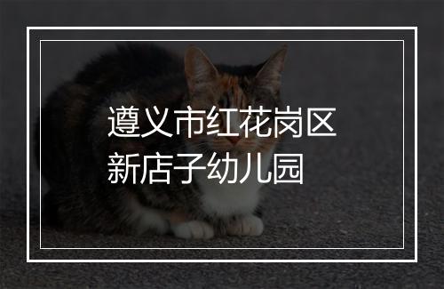 遵义市红花岗区新店子幼儿园