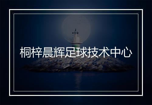 桐梓晨辉足球技术中心