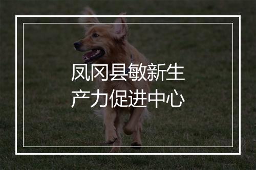 凤冈县敏新生产力促进中心