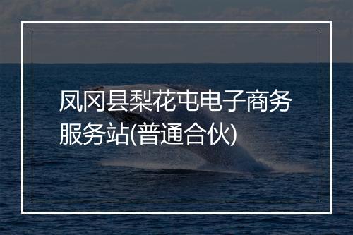 凤冈县梨花屯电子商务服务站(普通合伙)