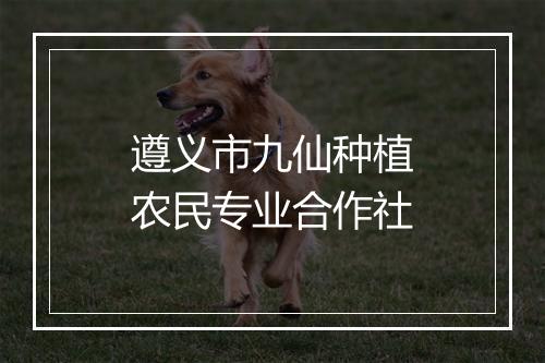 遵义市九仙种植农民专业合作社