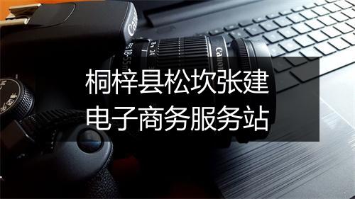 桐梓县松坎张建电子商务服务站