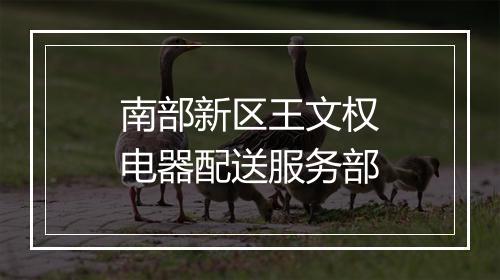 南部新区王文权电器配送服务部