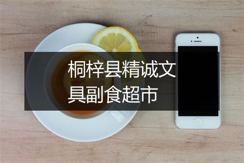 桐梓县精诚文具副食超市