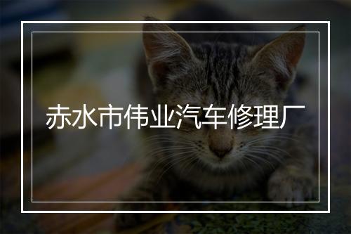 赤水市伟业汽车修理厂
