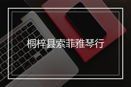 桐梓县索菲雅琴行