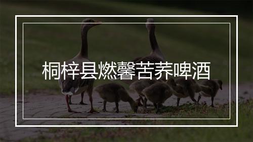 桐梓县燃馨苦荞啤酒