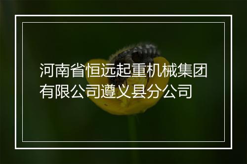河南省恒远起重机械集团有限公司遵义县分公司