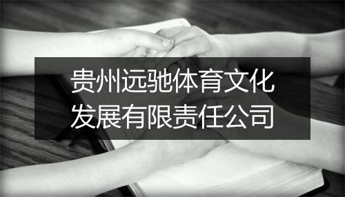 贵州远驰体育文化发展有限责任公司
