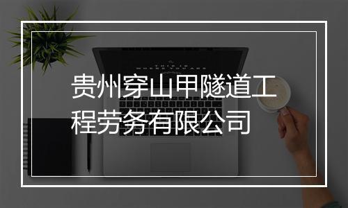 贵州穿山甲隧道工程劳务有限公司
