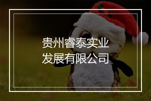 贵州睿泰实业发展有限公司