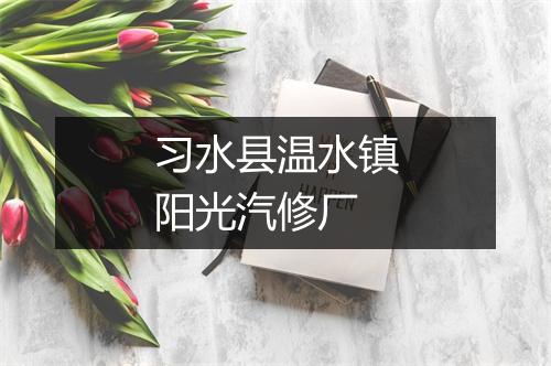 习水县温水镇阳光汽修厂