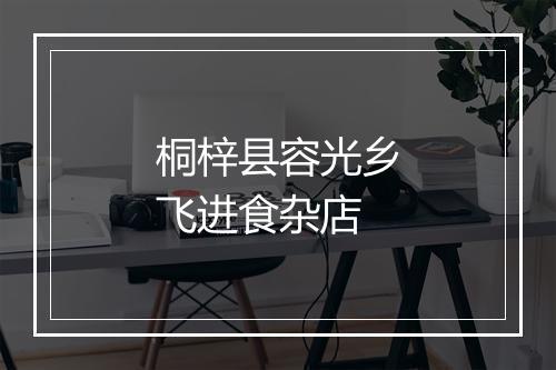 桐梓县容光乡飞进食杂店