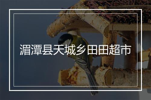 湄潭县天城乡田田超市