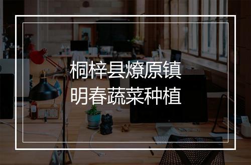 桐梓县燎原镇明春蔬菜种植