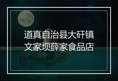 道真自治县大矸镇文家坝薛家食品店