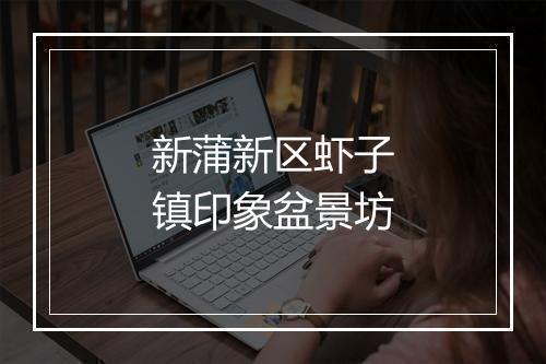 新蒲新区虾子镇印象盆景坊
