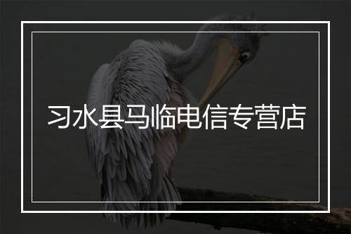 习水县马临电信专营店