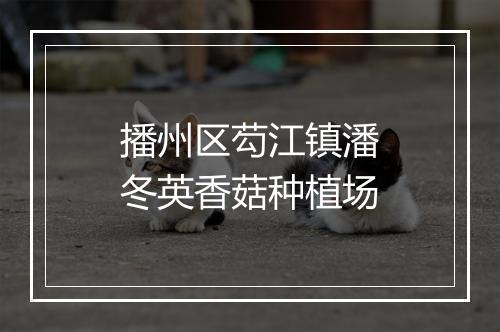 播州区芶江镇潘冬英香菇种植场